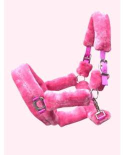 Licol Teddy