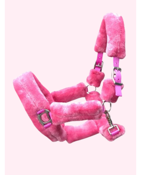 Licol Teddy