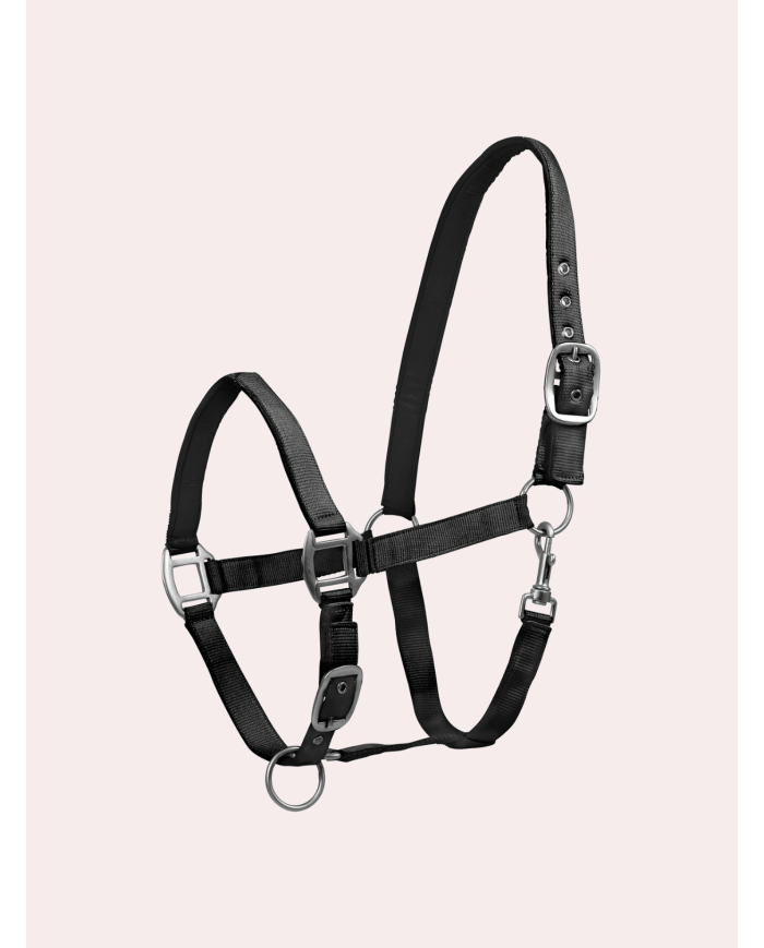 Licol poney/cheval réglable