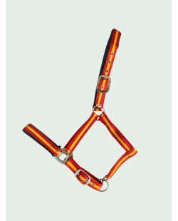 ZALDI - Licol en nylon et PVC
