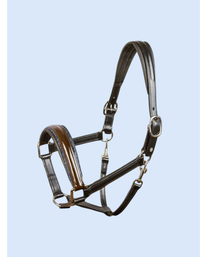 Licol OTTO SCHUMACHER