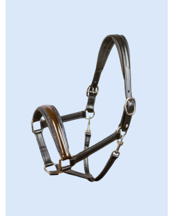 Licol OTTO SCHUMACHER