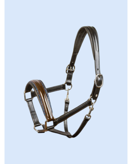 Licol OTTO SCHUMACHER