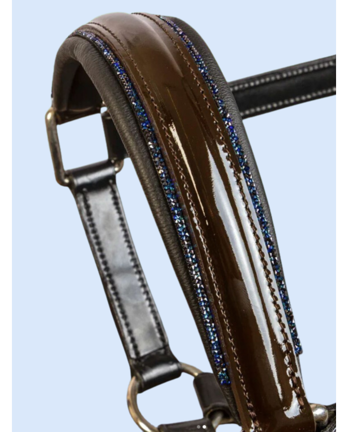 Licol OTTO SCHUMACHER