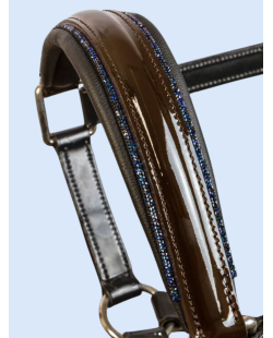 Licol OTTO SCHUMACHER