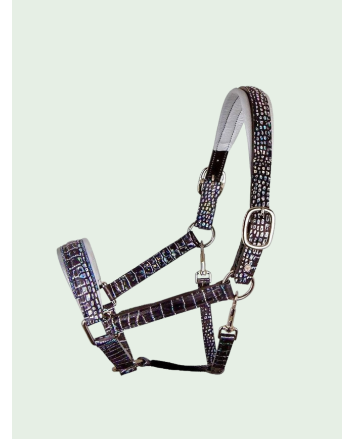 Licol OTTO SCHUMACHER