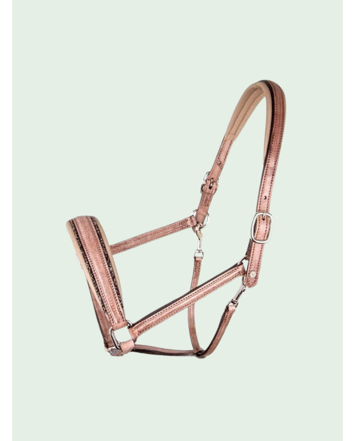 Licol OTTO SCHUMACHER