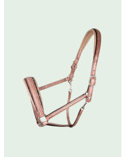 Licol OTTO SCHUMACHER