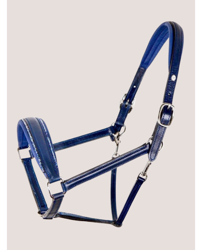 Licol OTTO SCHUMACHER