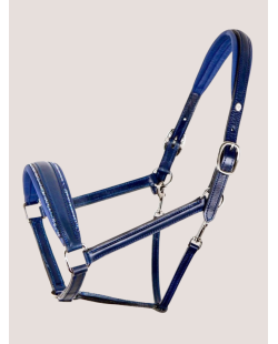 Licol OTTO SCHUMACHER