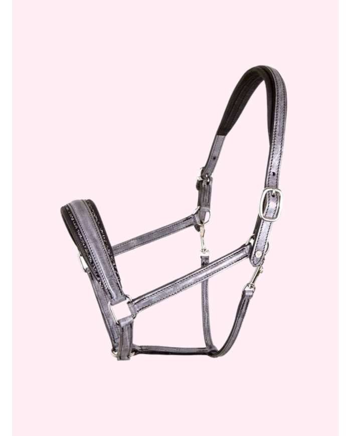 Licol OTTO SCHUMACHER