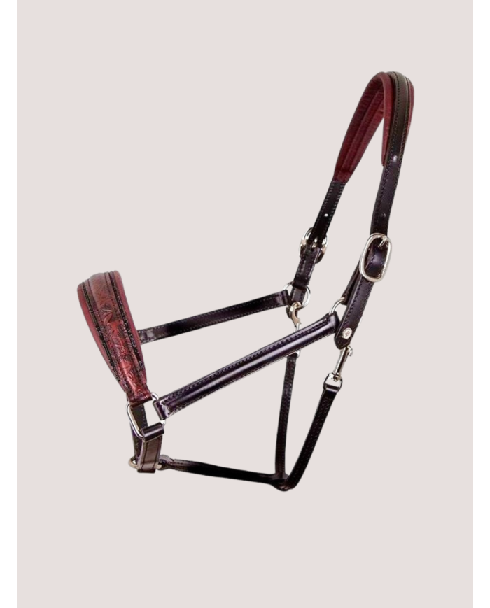 Licol OTTO SCHUMACHER