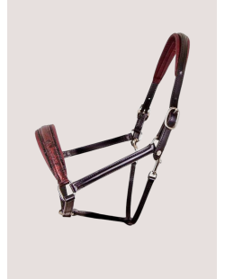 Licol OTTO SCHUMACHER