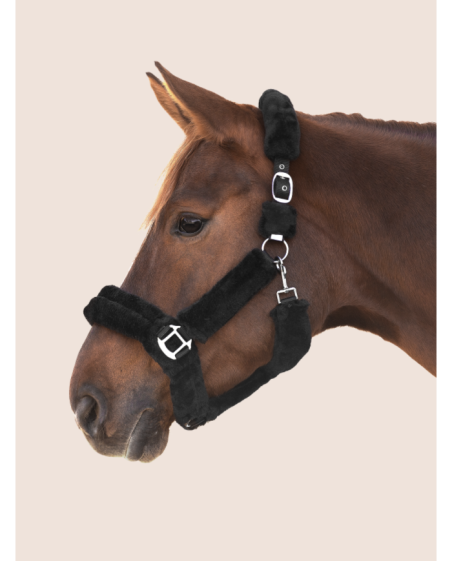 WALDHAUSEN - Licol Cozy