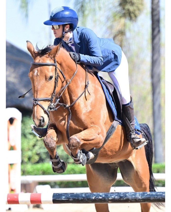 LAS HELMETS - OPERA CRYSTAL METAL BLUE 💎