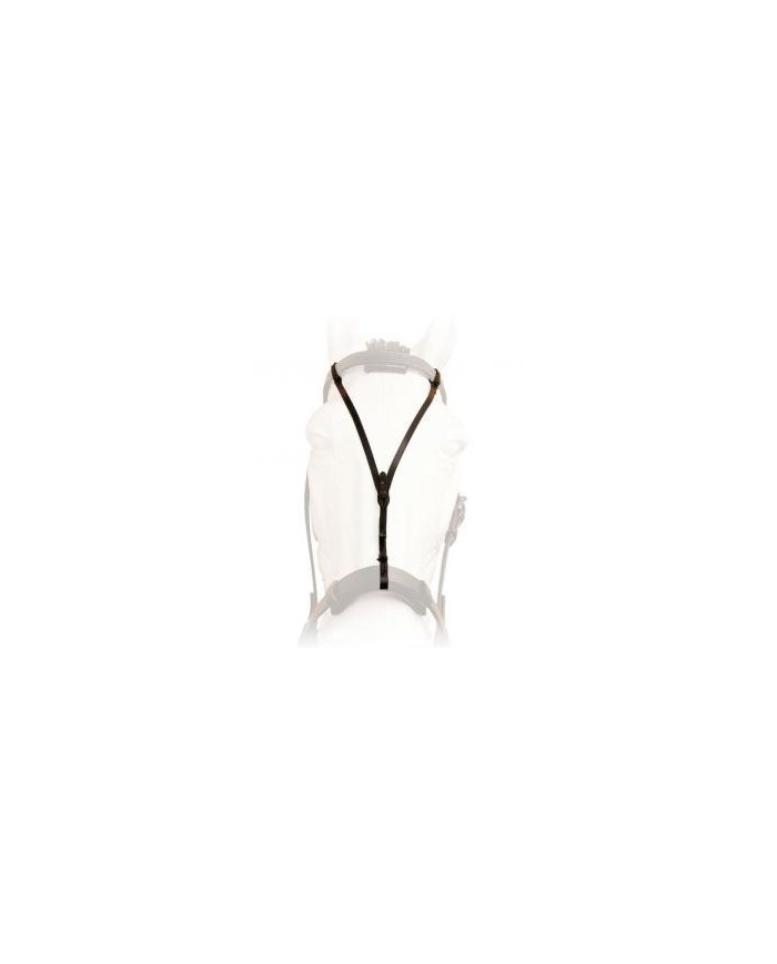 Frontal  Mosquero cuir