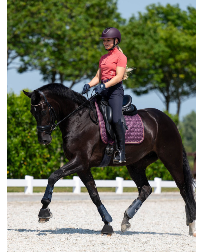 Harry's horse - Casque Mont-Blanc Glossy Black/roseGold 💖