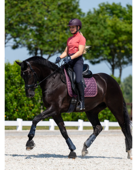 Harry's horse - Casque Mont-Blanc Glossy Black/roseGold 💖