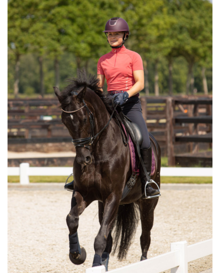 Harry's horse - Casque Mont-Blanc Glossy Black 🖤