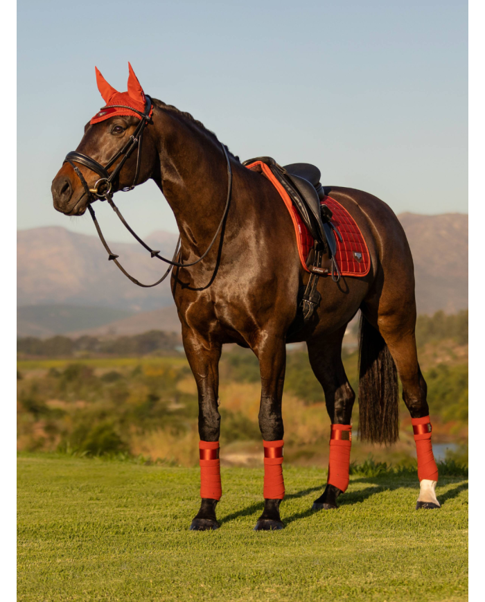 LeMieux - Tapis square dressage Loire Memory