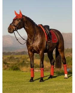 LeMieux - Tapis square dressage Loire Memory