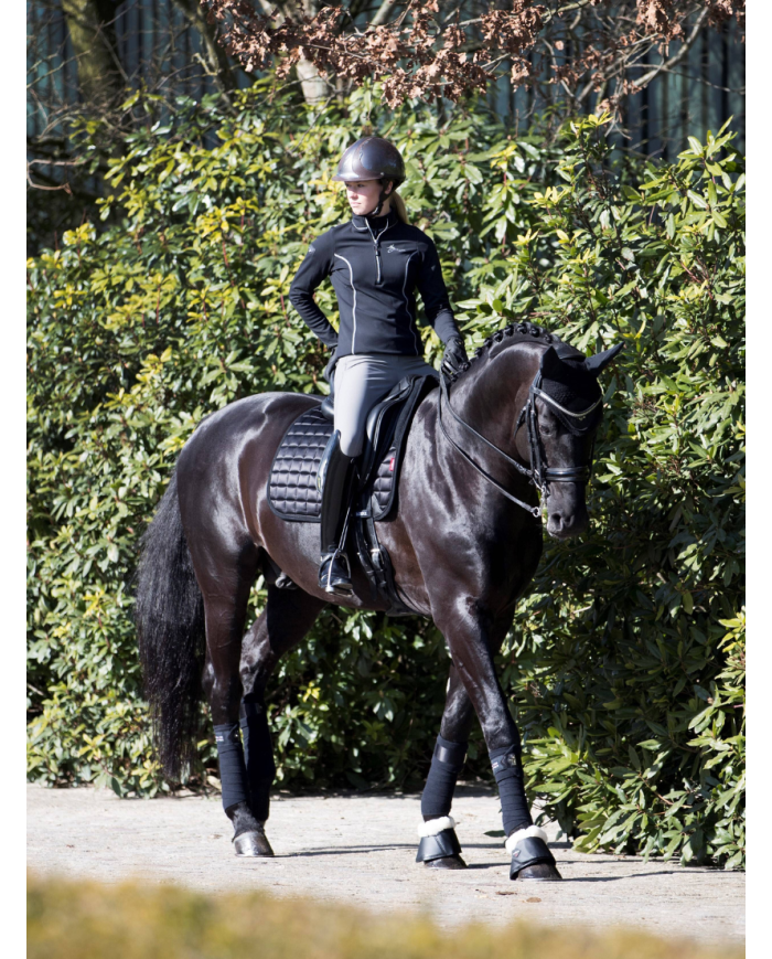 LeMieux - Tapis square dressage Loire Memory