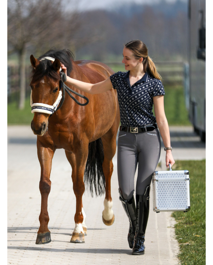 IMPERIAL RIDING - Boite de pansage Shiny Classic