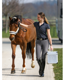 IMPERIAL RIDING - Boite de pansage Shiny Classic