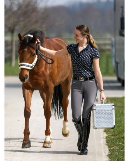 IMPERIAL RIDING - Boite de pansage Shiny Classic