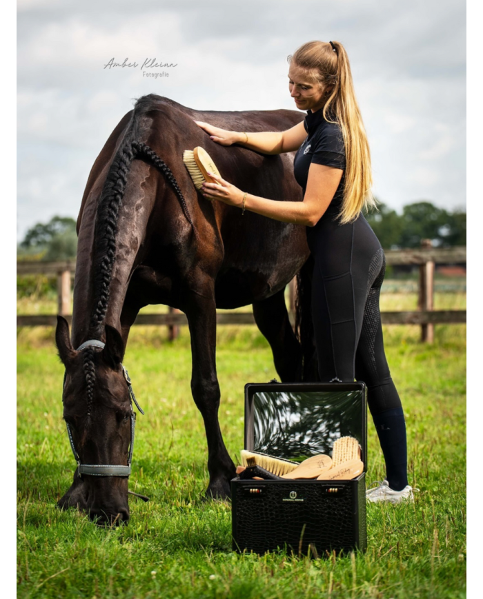 IMPERIAL RIDING - Boite de pansage Shiny Classic