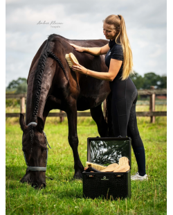 IMPERIAL RIDING - Boite de pansage Shiny Classic