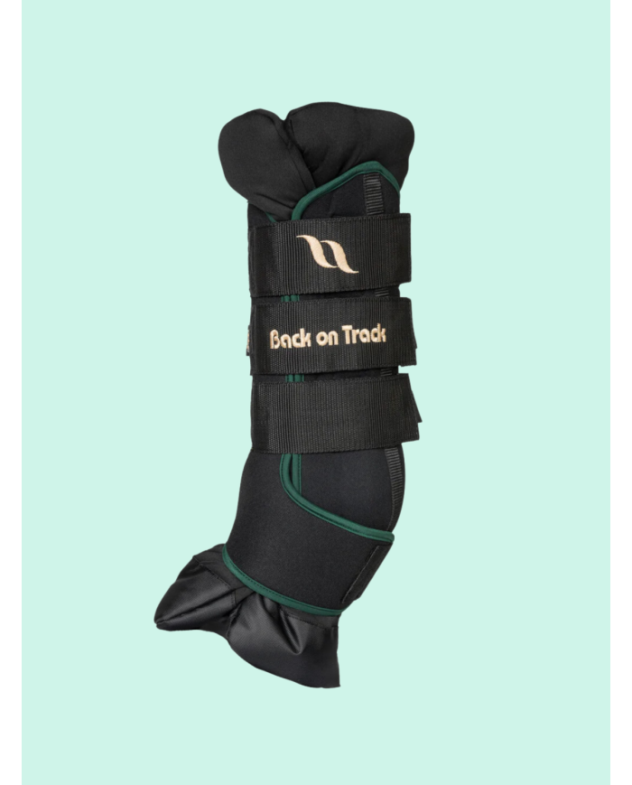 BACK ON TRACK - Guêtres d'écurie Royal boots DELUXE