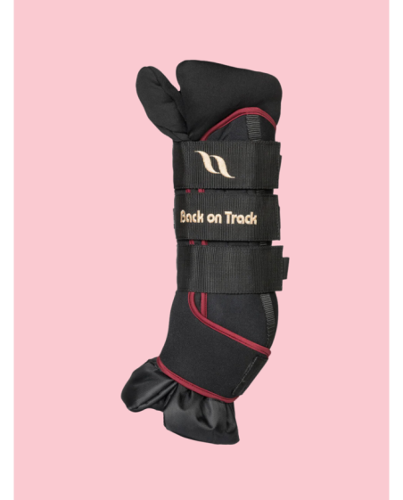 BACK ON TRACK - Guêtres d'écurie Royal boots DELUXE