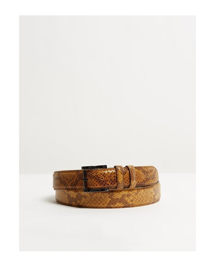 Kingsley - ceinture python brown