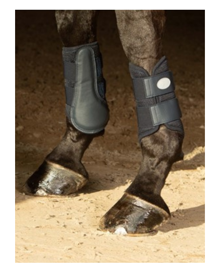 Guêtres air mesh Harry's Horse noires
