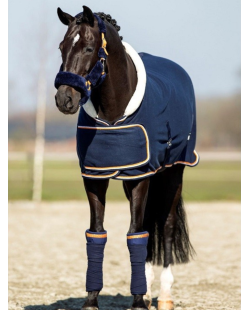 Couverture Blue Moon 135"