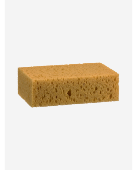 Éponge