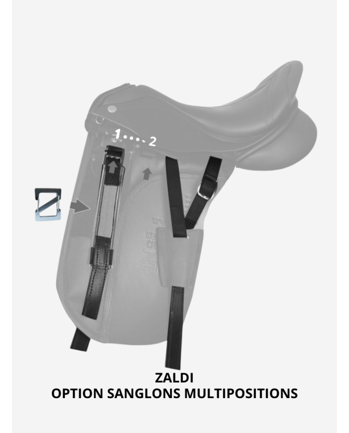 ZALDI - Option contre sanglons multipositions