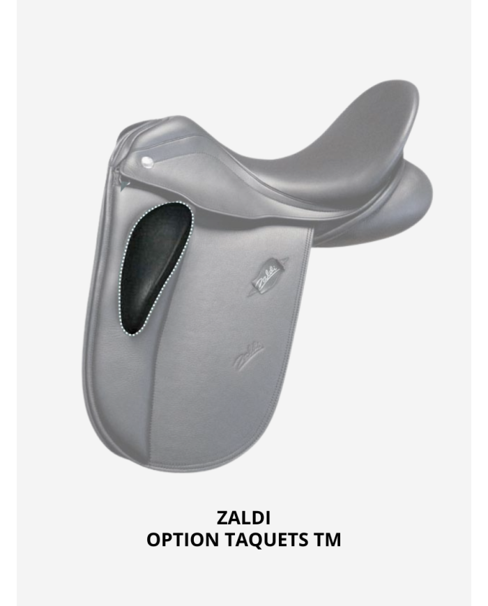 Option Zaldi TM SYSTEME