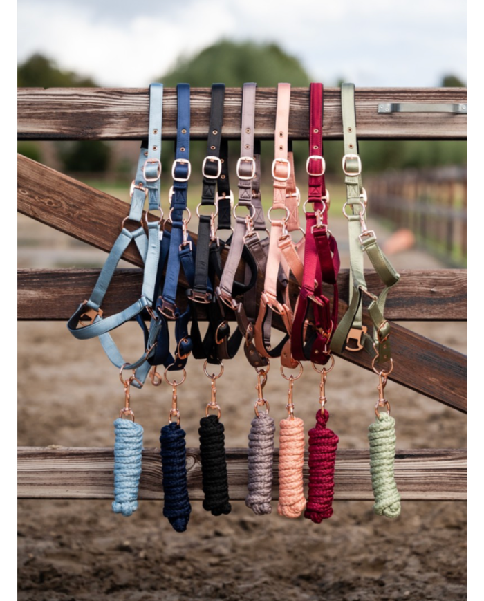 Licol + longe Showtime Eclipe Halster boucles Rose Gold