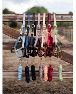 Licol + longe Showtime Eclipe Halster boucles Rose Gold