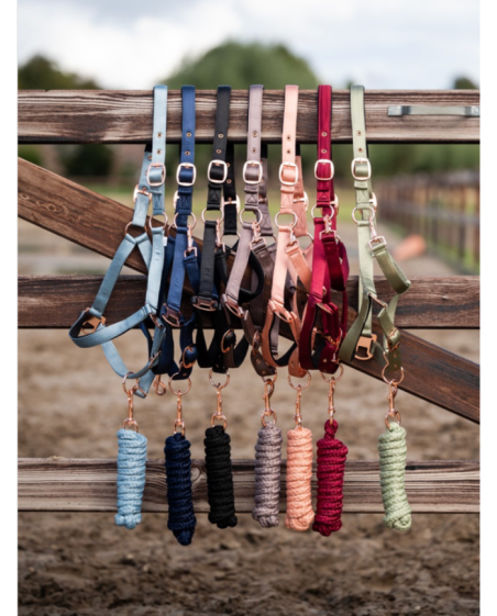 Licol + longe Showtime Eclipe Halster boucles Rose Gold