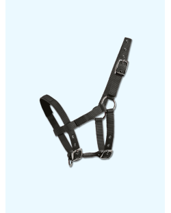 WALDHAUSEN- Licol pour mini-shetty