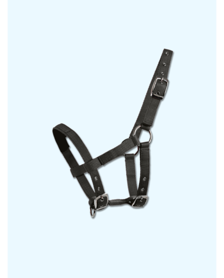 WALDHAUSEN- Licol pour mini-shetty