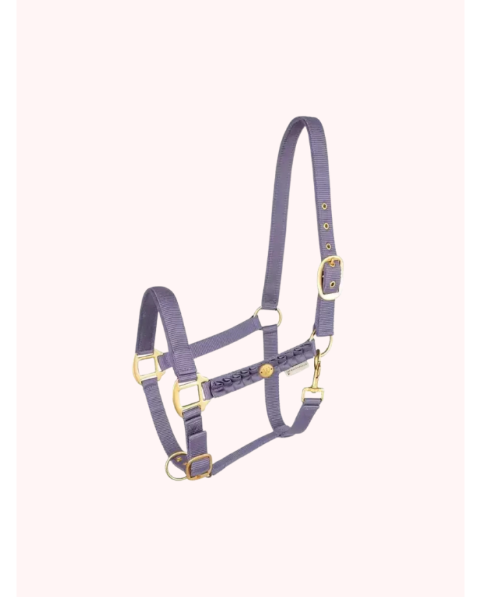 WALDHAUSEN - Licol florenz Ruban