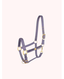 WALDHAUSEN - Licol florenz Ruban