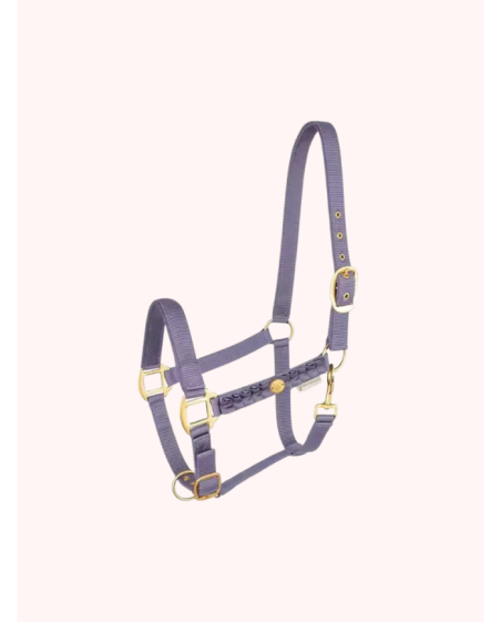 WALDHAUSEN - Licol florenz Ruban