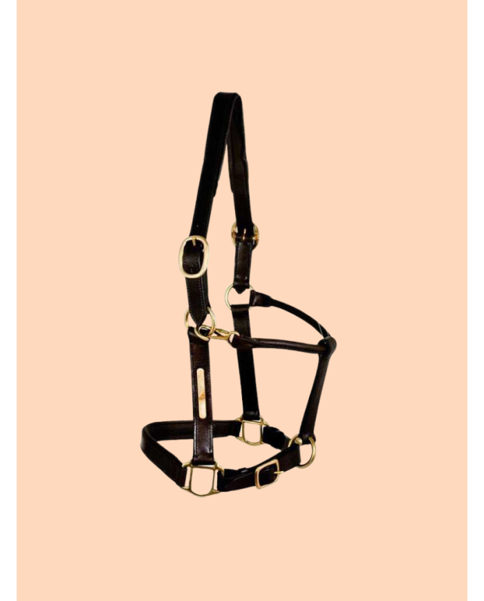 Licol en cuir noir avec plaque à graver