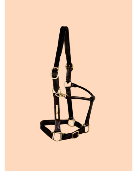 Licol en cuir noir avec plaque à graver