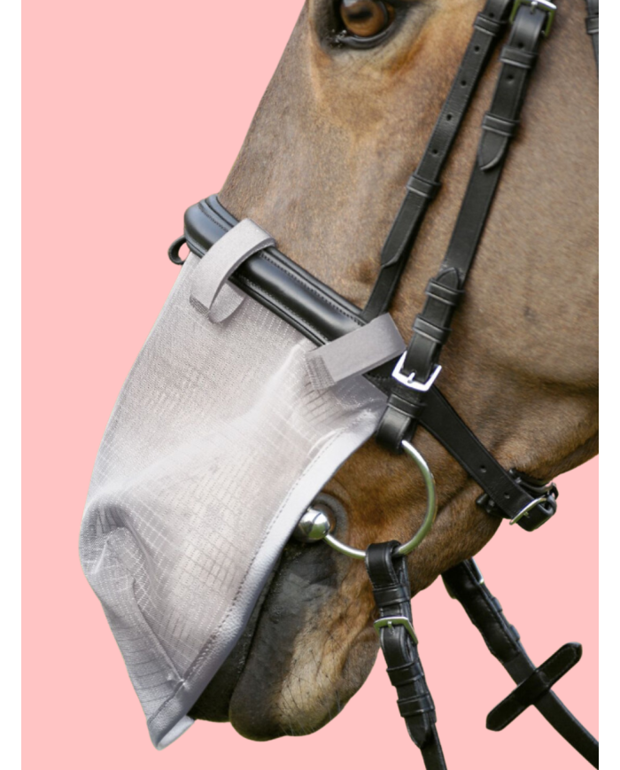WALDHAUSEN - Protection Anti-Mouche du chanfrein, avec protection UV